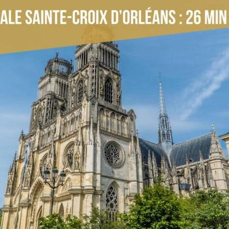 Апартаменти Le Micy - Joli T2 + Parking Орлеан Екстер'єр фото